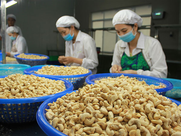 Giá điều giảm mạnh