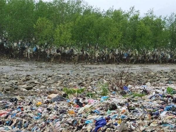 Rừng phòng hộ kêu cứu vì cảnh khủng khiếp khó tin