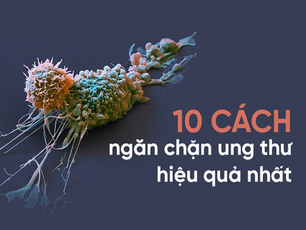 10 chuyên gia đúc kết 10 nguyên tắc 'vàng' phòng tránh ung thư: Ghi nhớ để tự cứu mình