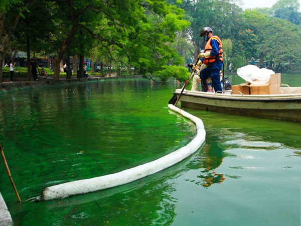 Sáng 17/4 nước Hồ Gươm bỗng xanh bất thường, phát hiện có tảo độc