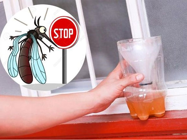 Mẹo bắt 'sạch bách' muỗi trong nhà chỉ cần một ít bia uống dở và thứ nhà nào cũng có