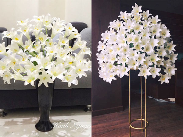Tháng Tư ngất ngây với mùa hoa loa kèn và những cách cắm đẹp lung linh mê hồn