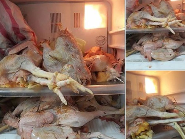 Lỡ khoe với bố vợ có thể thịt 1 con gà trong 'phút mốt', chàng rể xắn tay thể hiện làm 1 lúc 10 con và thành quả khiến vợ muốn giấu nhẹm