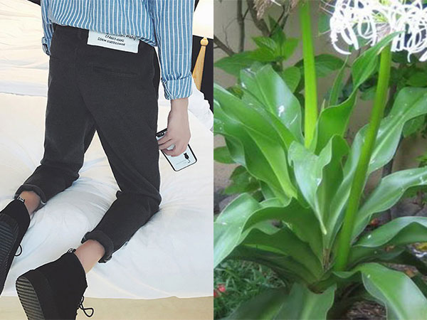Ảnh bìa bài viết 533400