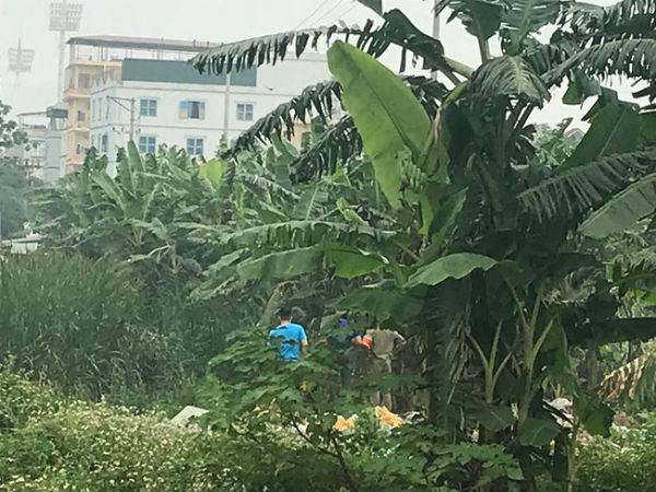 Hà Nội: Đi nhặt phế liệu, người phụ nữ hốt hoảng phát hiện thi thể đang phân hủy