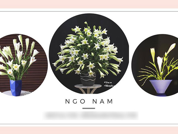 Là đấng mày râu, ông bố Hà Thành vẫn khiến chị em ghen tỵ vì cắm loa kèn quá khéo
