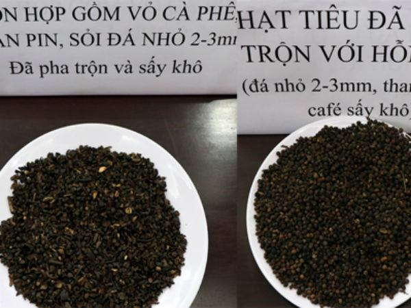Phế phẩm cà phê nhuộm bột pin được trộn vào hồ tiêu