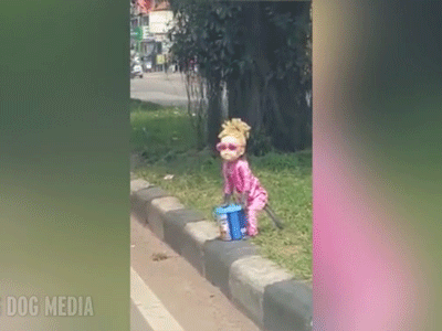 Khỉ mặc đồ búp bê tóc vàng đứng giữa đường như phim kinh dị