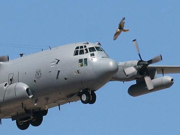 Mỹ tâm phục khi EC-130H bị gây nhiễu tại Syria
