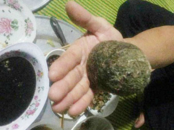 Mổ lợn nái 15 năm tuổi phát hiện vật thể lạ nghi “cát lợn” quý hiếm