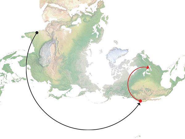 Dài cổ chờ thẻ xanh Mỹ, nhiều người chuyển hướng qua Canada