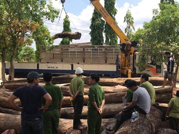 Trùm gỗ lậu Phượng 'râu': Từ người làm thuê thành đại gia khét tiếng