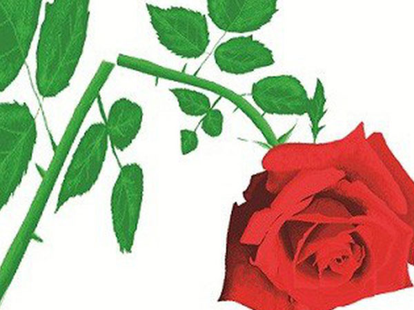 Yêu nhiều và hệ lụy nguy hiểm