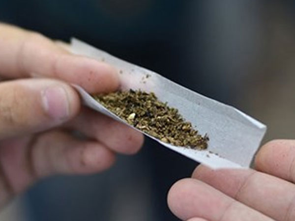 2 'kiều nữ' bán cần sa Canada trong quán bar ở phố cổ Hà Nội