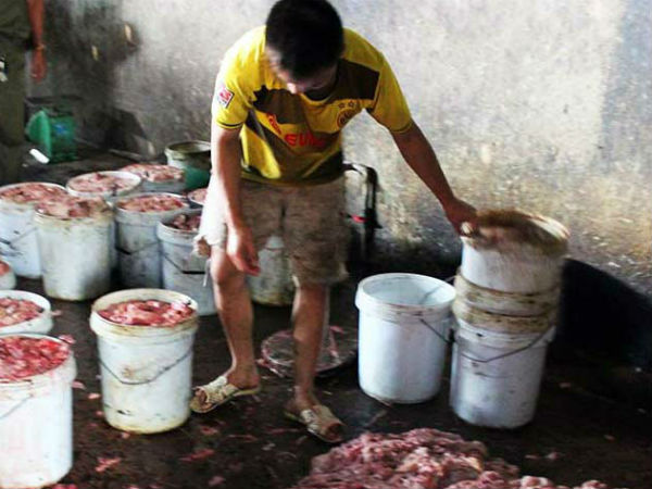 Kinh hãi gom mỡ, nội tạng bẩn nấu thành mỡ bán ra thị trường