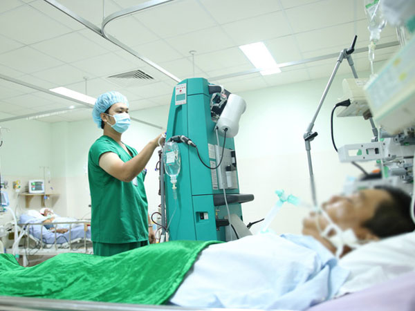 Hậu Giang: Người đàn ông nguy kịch sau khi bị bầy ong mật đuổi theo đến tận nhà, đốt 250 mũi
