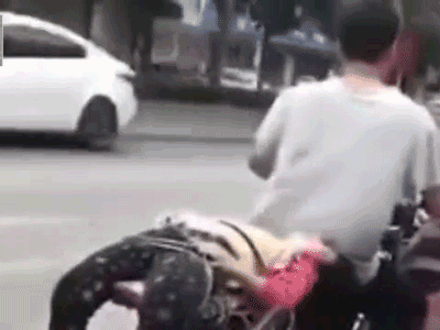 Video: Không chịu đi học, bé gái bị bố trói sau xe máy chở đến trường