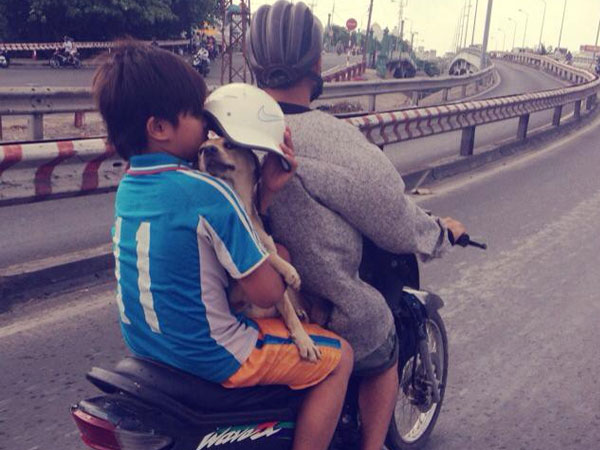 Hình ảnh ’em bé và chú chó trong ngày mưa’ khiến dân mạng thả ngàn tim vì cảm động