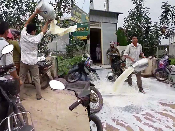 Nông dân đổ sữa lênh láng, công ty sữa lên tiếng