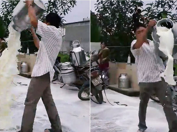Vợ người nông dân đổ sữa trắng xóa mặt đường ở Nghệ An: 'Chúng tôi vẫn nhập sữa bình thường, mức giá bao nhiêu thì chưa biết'