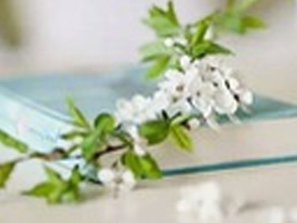 Thứ Ba của bạn (9/5): Bọ Cạp kiệm lời là tốt nhất