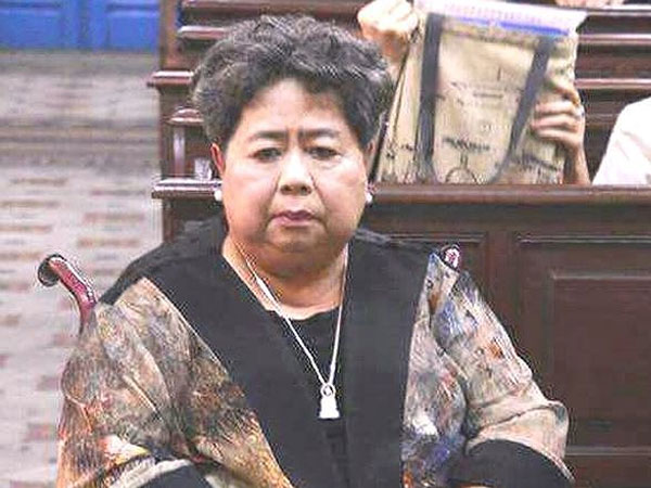 Đại gia Hứa Thị Phấn ‘thoát’ tội trốn thuế