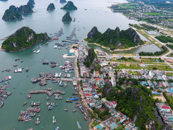 Rao bán đảo, đất rừng tại Vân Đồn