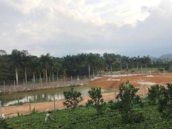 Xác minh địa giới hành chính vụ đất đai nghi của Thứ trưởng?