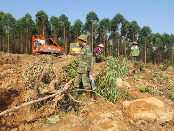 Bắc Giang: Điều tra vụ 2 gia đình hỗn chiến vì tranh chấp đất rừng