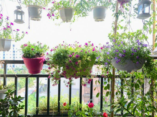 Mẹ chồng quy tiền công 5 tháng chăm cháu thành máy giặt 10 triệu
