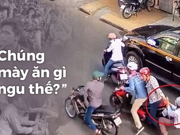 'Thưa các vị, hiệp sĩ không cần ai dạy bảo cách sống'