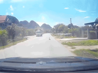 Video: Tài xế hoảng hốt vì đứa bé bò ngang quốc lộ ở Nghệ An