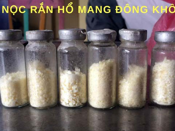 Người đàn ông đầu tiên bắt rắn độc nhả ra... vàng 9999 ở Việt Nam