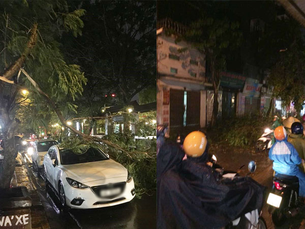 Clip: Hà Nội đón cơn mưa dông lớn kèm gió to khiến cây cối gãy đổ, đường bụi mù khiến người dân di chuyển vô cùng khó khăn