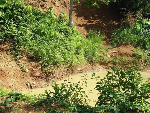 Hai bé gái tử vong khi đi soi nhái cải thiện bữa ăn