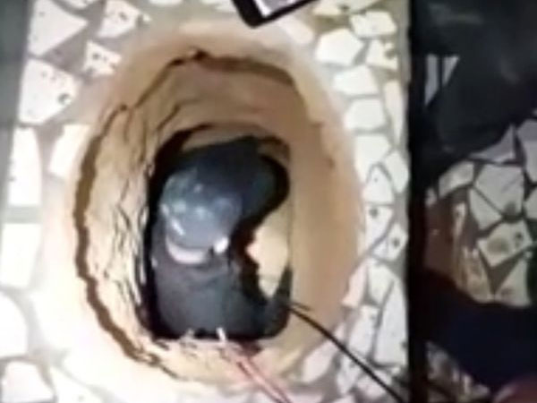 Đào hầm từ toilet để vượt ngục, tù nhân chết thảm