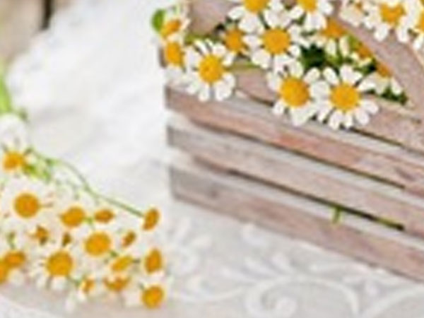 Thứ Năm của bạn (24/5): Cự Giải hãy quan tâm gia đình nhiều hơn