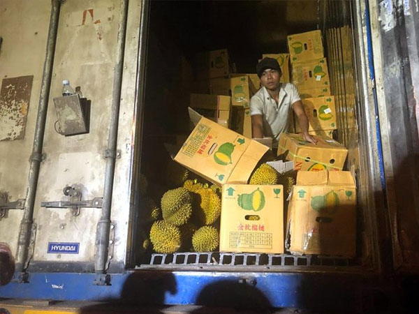 Hà Nội: Xếp hàng giữa trưa nắng tranh mua 17 tấn sầu riêng ế