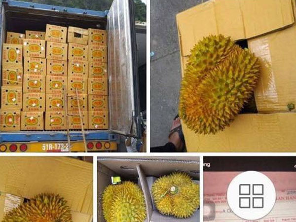 Bỏ tiền 'giải cứu' 17 tấn sầu riêng giữa trưa hè Hà Nội, người mua thất vọng với chất lượng thực tế: Tài xế lên tiếng