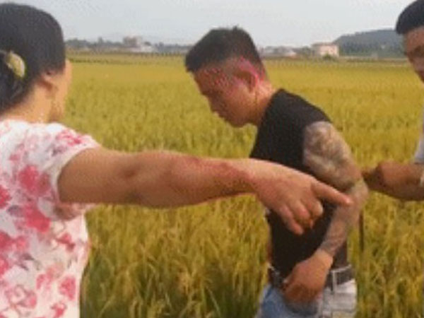Dân trói tay thanh niên xăm trổ hành hung ông lão gặt lúa giữa cánh đồng thôn Đồng Tâm