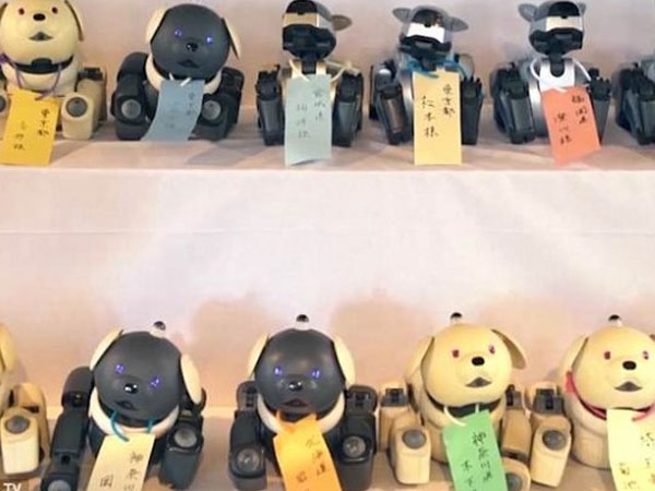 Ngôi chùa ở Nhật Bản làm đám tang cho hàng trăm con chó robot