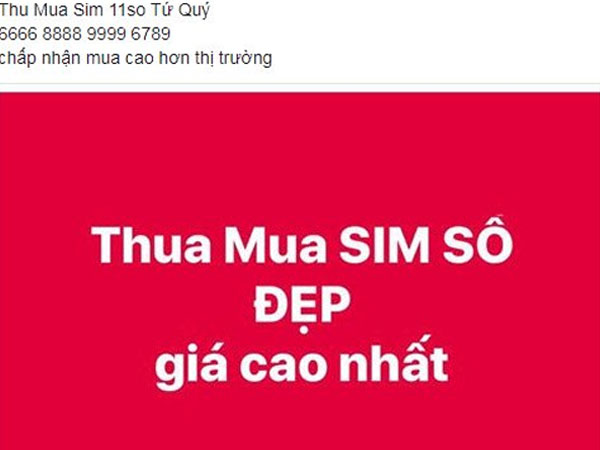 Sim 11 số lên đời: Găm hàng chờ tăng giá, số đẹp tiền tỷ mời khách
