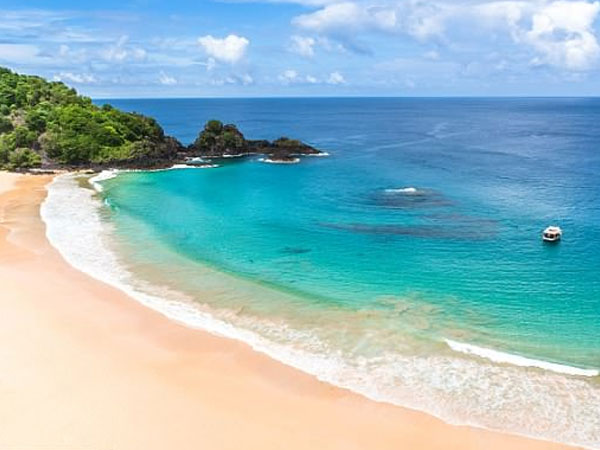 Đảo cấm sinh ở Brazil đón em bé đầu tiên sau 12 năm