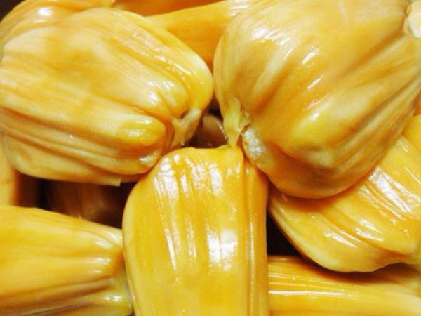 Mít thái tại vườn 5.000 đồng/kg, người tiêu dùng vẫn mua với giá cao gấp 4 lần