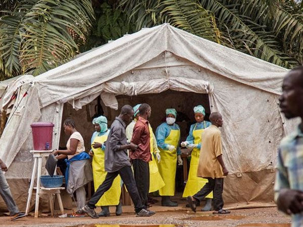 Bộ Y tế họp khẩn, xác định nguy cơ dịch bệnh Ebola vào Việt Nam