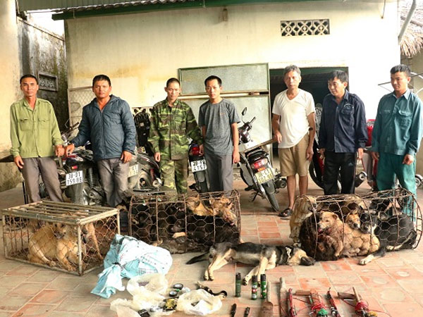 Phục kích, bắt giữ đường dây trộm chó xuyên tỉnh
