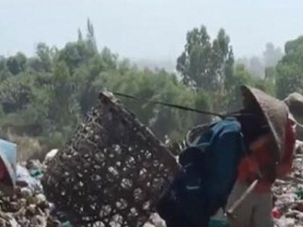Video: Những phận người mưu sinh ở bãi rác lớn nhất Đà Nẵng