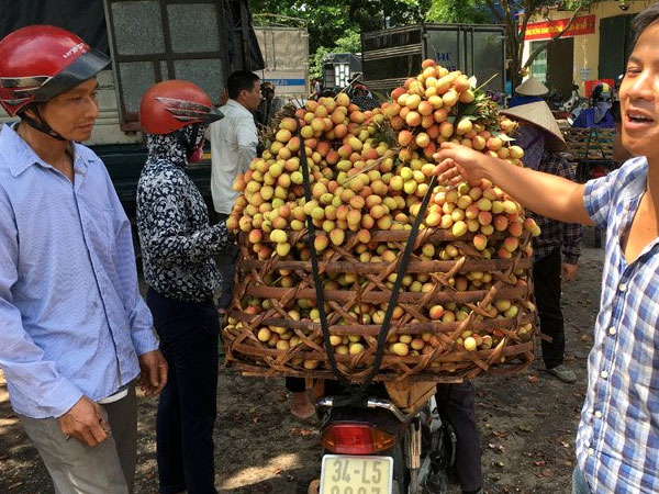 Tin đồn vải 10 ngàn/kg: Chỉ có ăn quả sâu, quả còi hạng bét
