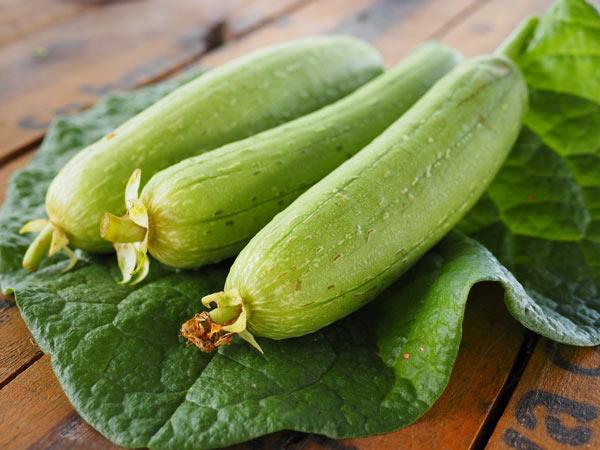 Chi tiết cách trồng mướp hương tại nhà cho quả sai lúc lỉu, hái mỏi tay