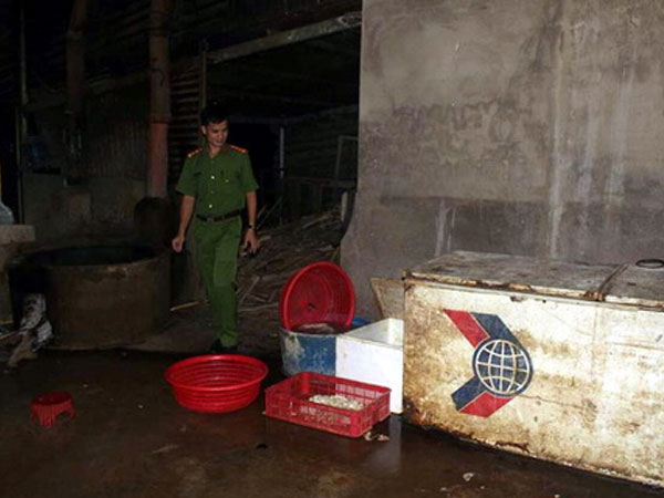 Nội tạng động vật ngâm hóa chất trước khi đưa đi tiêu thụ